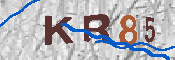キャプチャ画像