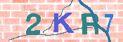 キャプチャ画像