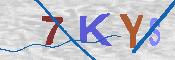 キャプチャ画像