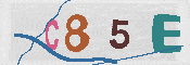 キャプチャ画像