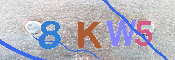 キャプチャ画像
