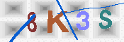 キャプチャ画像