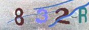 キャプチャ画像