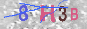 キャプチャ画像