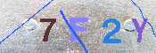 キャプチャ画像
