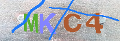 キャプチャ画像