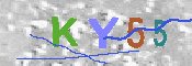 キャプチャ画像