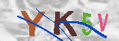 キャプチャ画像