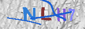 キャプチャ画像