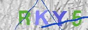 キャプチャ画像