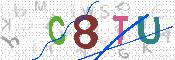 キャプチャ画像
