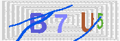 キャプチャ画像