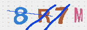 キャプチャ画像