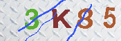 キャプチャ画像