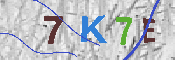 キャプチャ画像