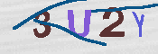 キャプチャ画像