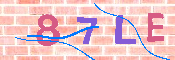 キャプチャ画像