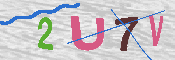キャプチャ画像