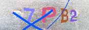 キャプチャ画像