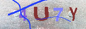 キャプチャ画像