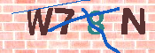 キャプチャ画像