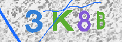 キャプチャ画像
