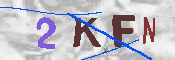 キャプチャ画像