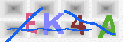 キャプチャ画像