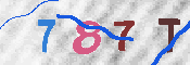キャプチャ画像