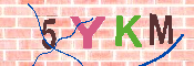 キャプチャ画像