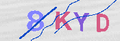 キャプチャ画像