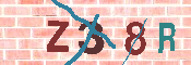 キャプチャ画像