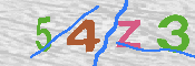 キャプチャ画像