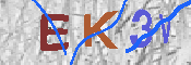 キャプチャ画像