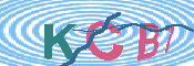 キャプチャ画像