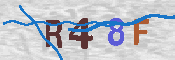 キャプチャ画像