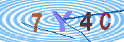 キャプチャ画像