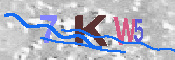 キャプチャ画像
