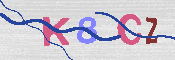 キャプチャ画像