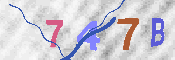 キャプチャ画像