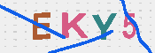 キャプチャ画像
