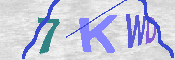 キャプチャ画像