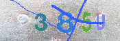 キャプチャ画像