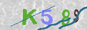 キャプチャ画像