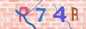 キャプチャ画像