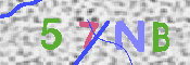 キャプチャ画像