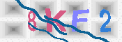 キャプチャ画像