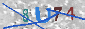 キャプチャ画像
