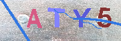 キャプチャ画像