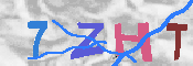 キャプチャ画像